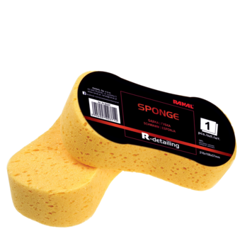 Sponge